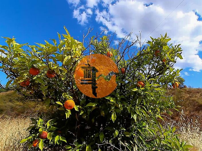 Image No.19-Plot for sale