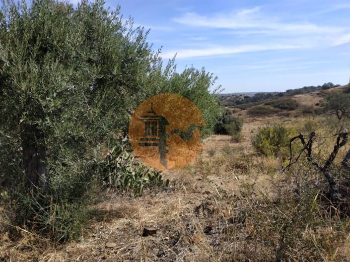 Image No.30-Plot for sale