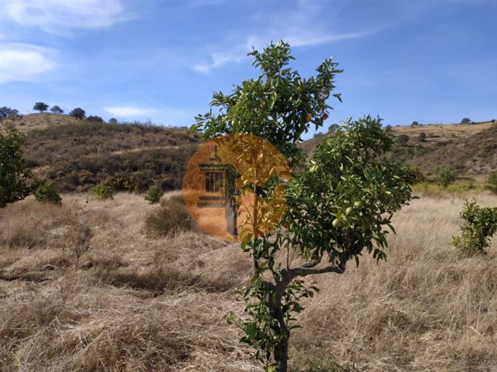 Image No.47-Plot for sale