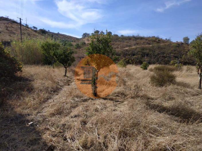 Image No.48-Plot for sale