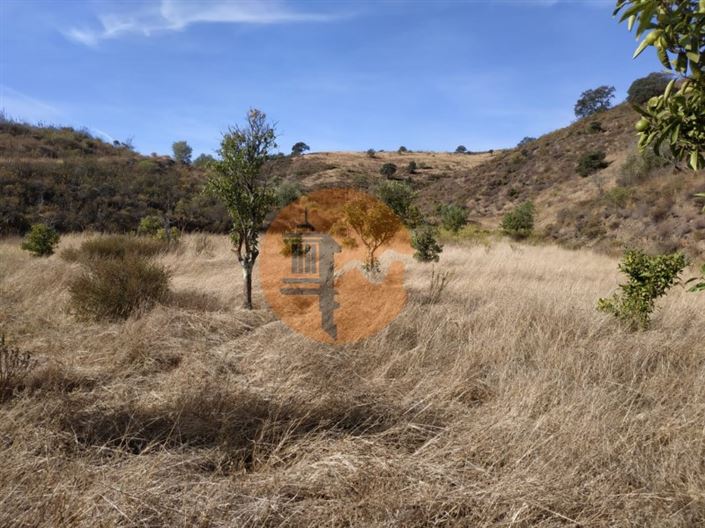 Image No.49-Plot for sale