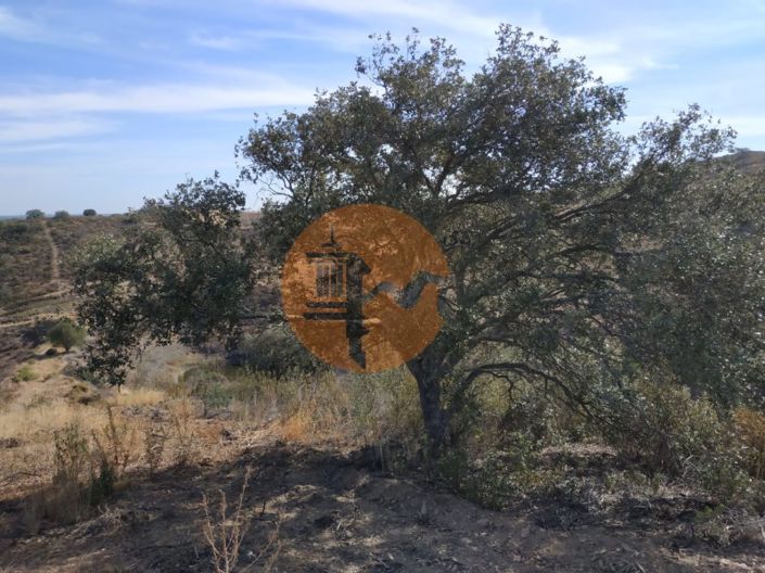 Image No.52-Plot for sale