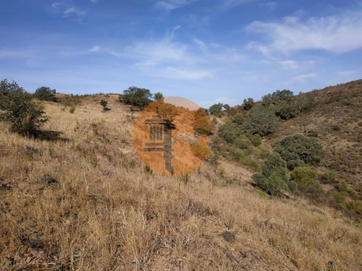 Image No.56-Plot for sale