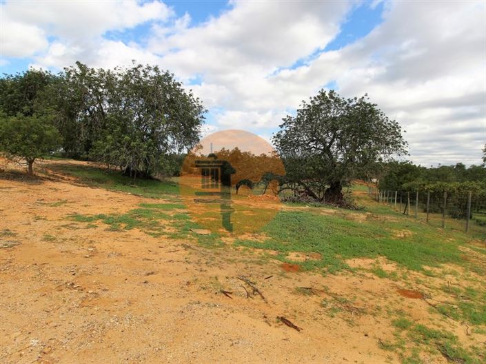 Image No.17-2 Bed House for sale