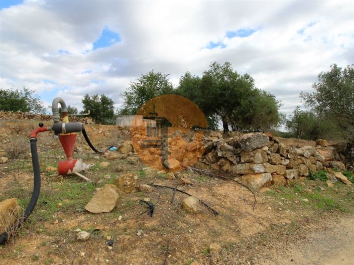 Image No.21-2 Bed House for sale