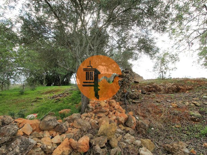 Image No.28-2 Bed House for sale