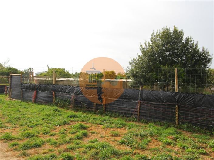 Image No.7-Terrain à vendre à Tavira