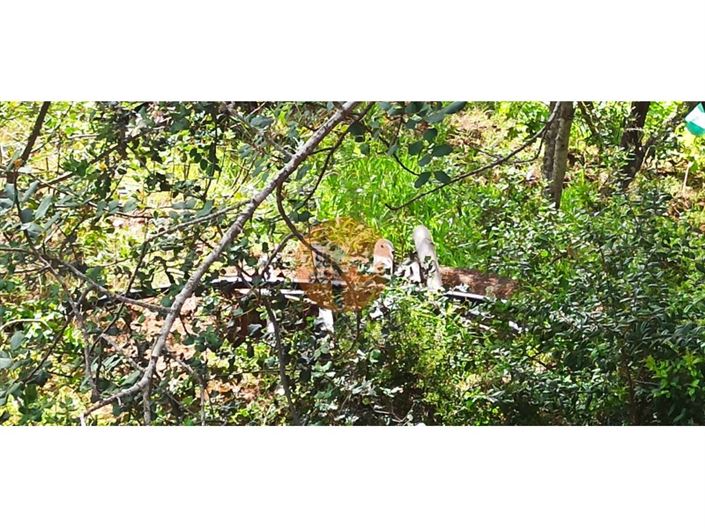 Image No.17-Terrain à vendre à Tavira