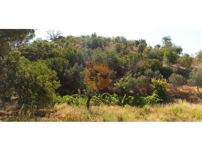 Image No.18-Terrain à vendre à Tavira