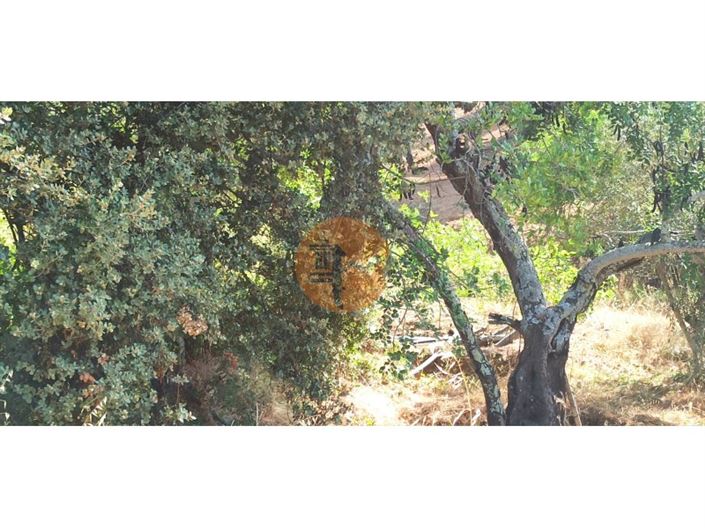 Image No.19-Terrain à vendre à Tavira