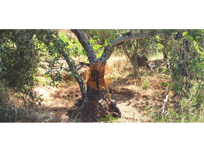 Image No.20-Terrain à vendre à Tavira