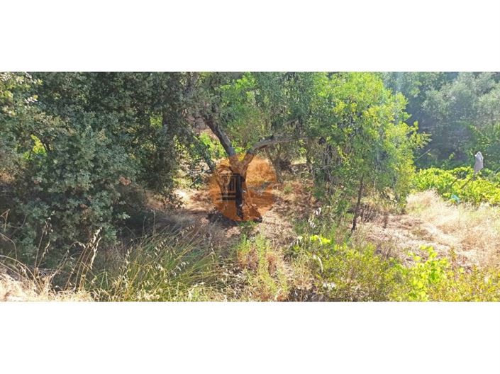 Image No.21-Terrain à vendre à Tavira