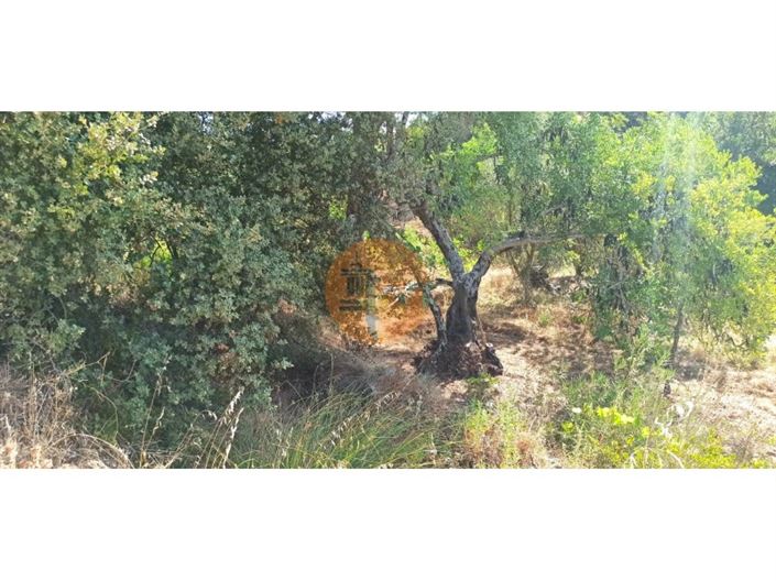 Image No.22-Terrain à vendre à Tavira