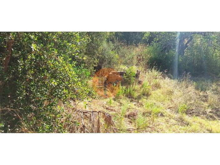Image No.34-Terrain à vendre à Tavira