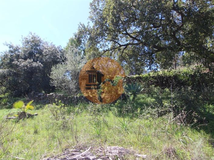 Image No.9-Plot for sale