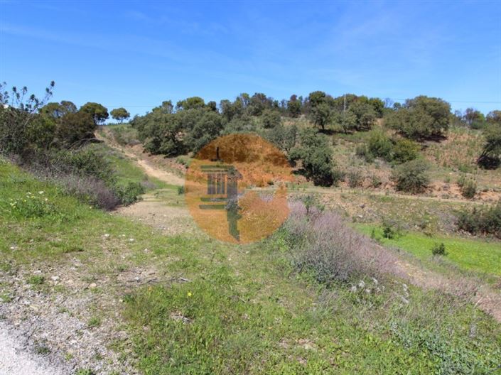 Image No.14-Plot for sale