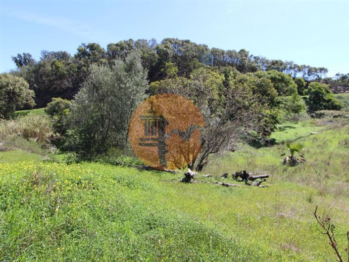 Image No.18-Plot for sale