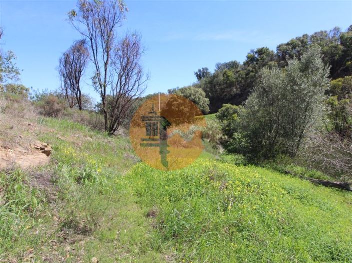 Image No.19-Plot for sale