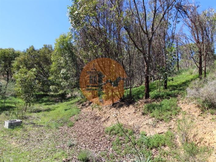 Image No.20-Plot for sale