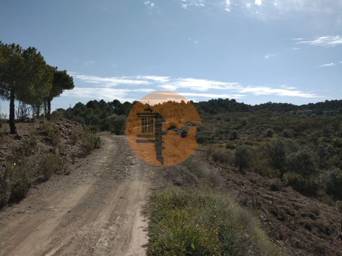 Image No.11-Ferme à vendre à Alcoutim