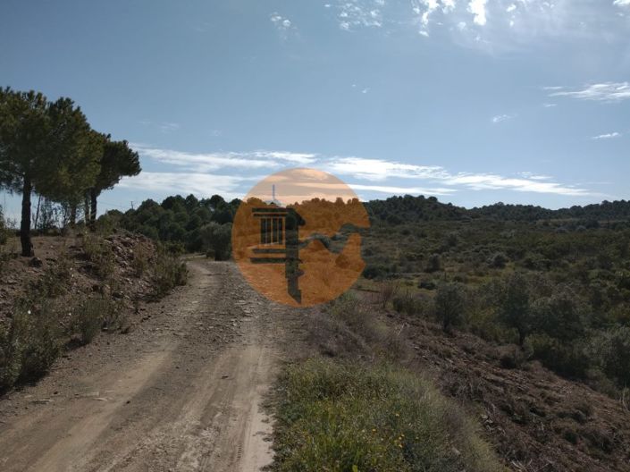 Image No.12-Ferme à vendre à Alcoutim