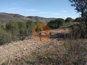 id89cc5401-0000-0500-0000-000010ba91ec