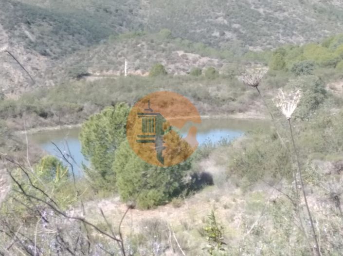 Image No.23-Ferme à vendre à Alcoutim