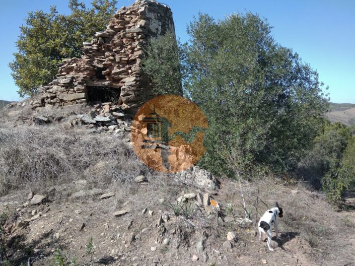 Image No.25-Ferme à vendre à Alcoutim