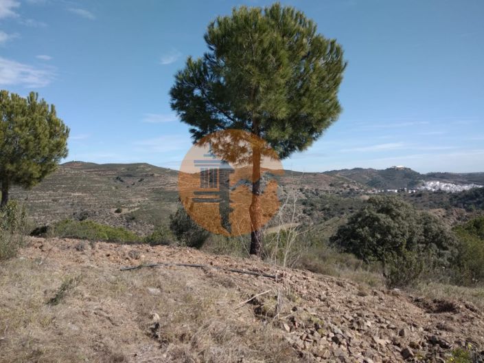 Image No.29-Ferme à vendre à Alcoutim