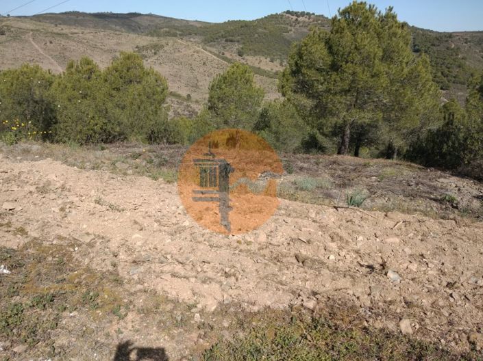 Image No.30-Ferme à vendre à Alcoutim