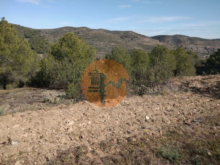 Image No.32-Ferme à vendre à Alcoutim