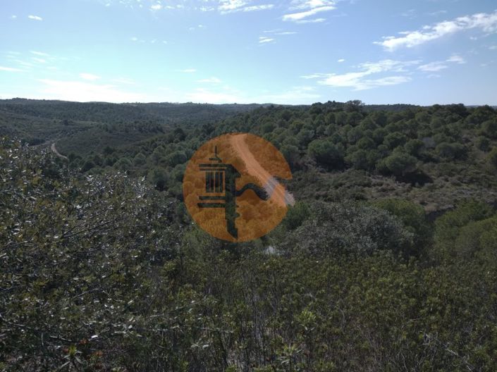 Image No.36-Ferme à vendre à Alcoutim