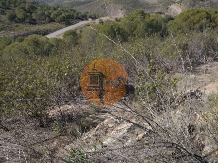 Image No.37-Ferme à vendre à Alcoutim