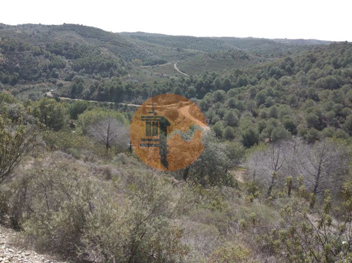 Image No.39-Ferme à vendre à Alcoutim