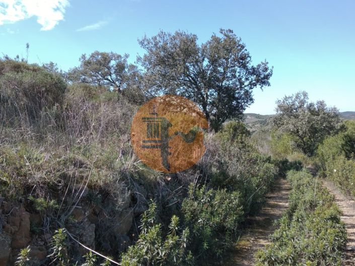 Image No.44-Ferme à vendre à Alcoutim