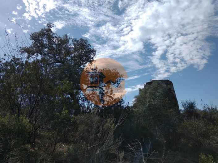 Image No.49-Ferme à vendre à Alcoutim