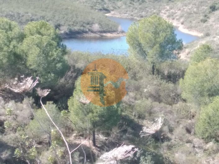 Image No.5-Ferme à vendre à Alcoutim