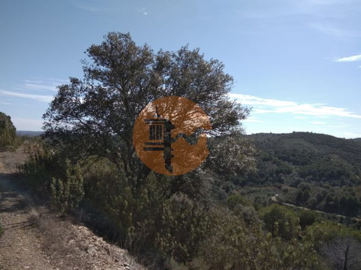 Image No.51-Ferme à vendre à Alcoutim