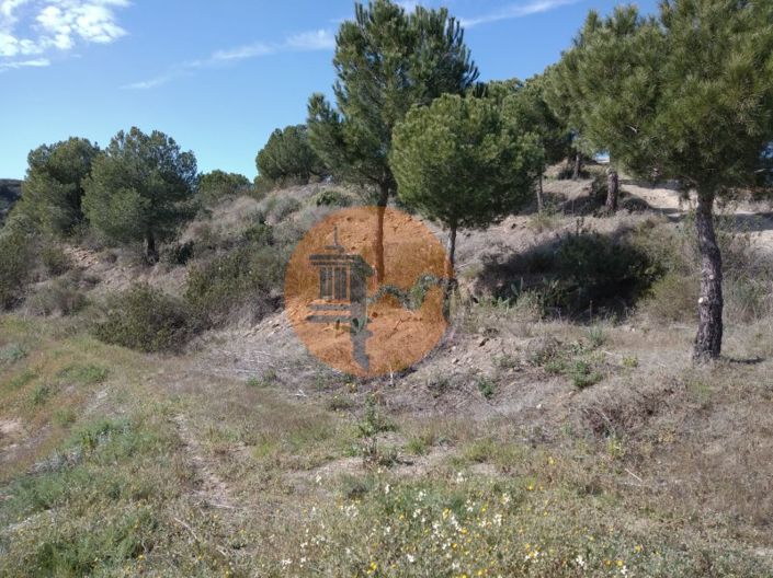 Image No.7-Ferme à vendre à Alcoutim