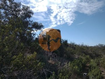 id89cc5401-0000-0500-0000-000010ba91e6