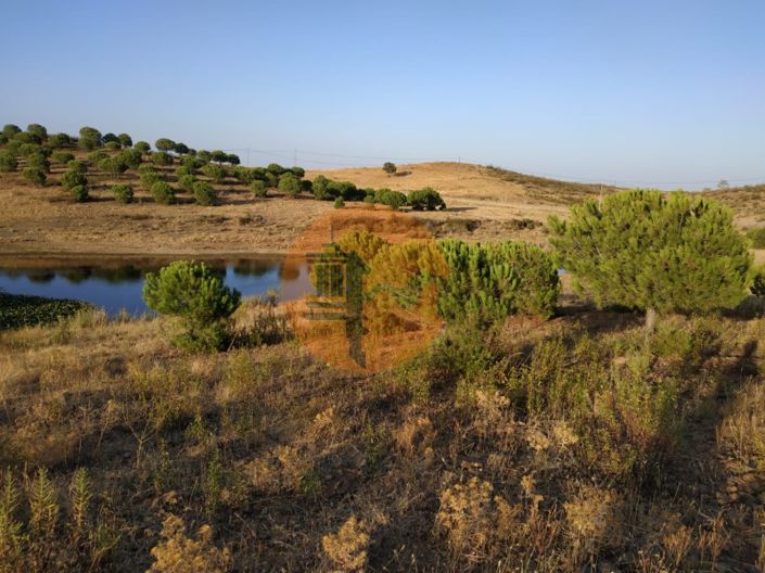 Image No.12-Plot for sale