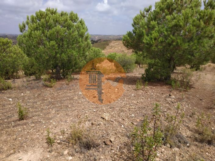 Image No.19-Plot for sale