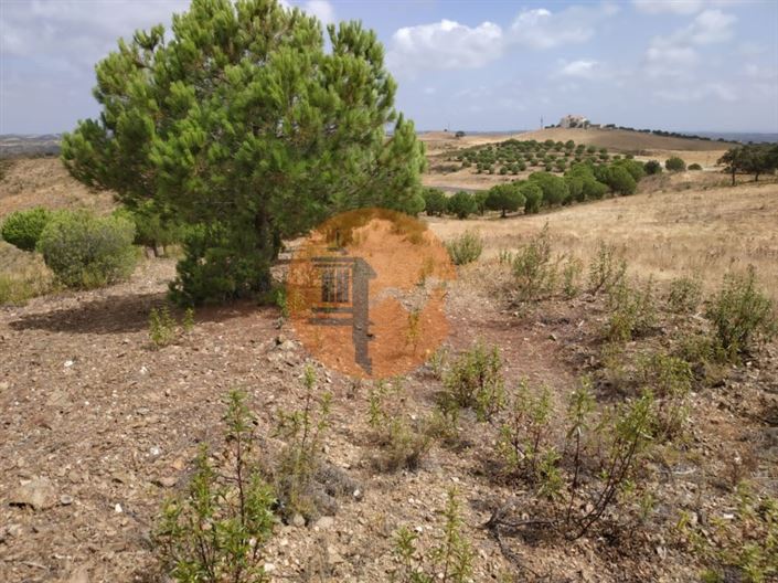 Image No.19-Plot for sale