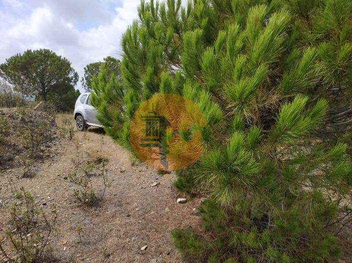 Image No.21-Terrain à vendre à Castro Marim