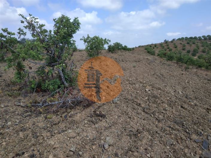 Image No.21-Plot for sale