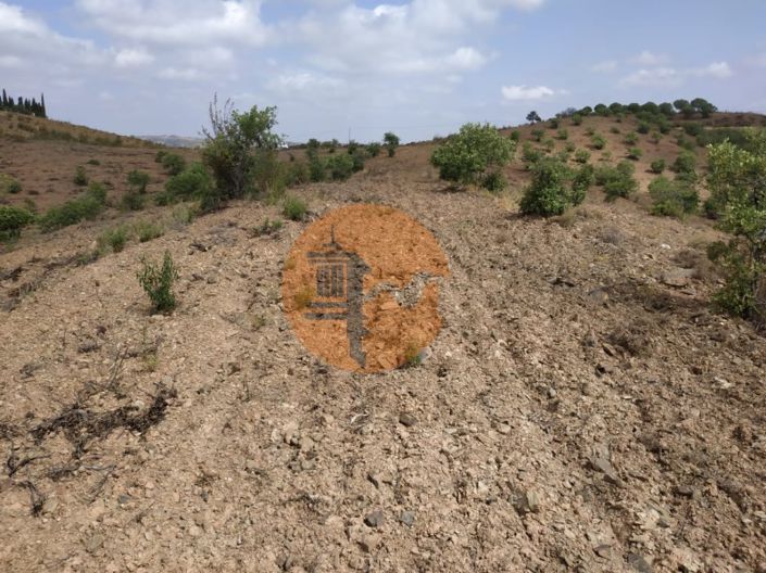 Image No.23-Terrain à vendre à Castro Marim