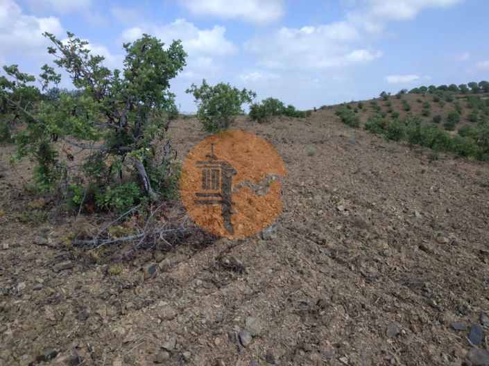 Image No.24-Terrain à vendre à Castro Marim