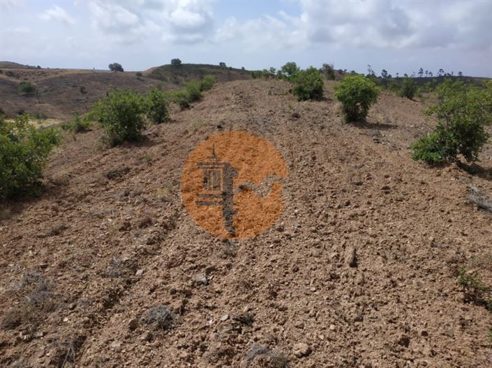 Image No.24-Plot for sale