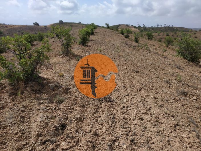 Image No.26-Plot for sale