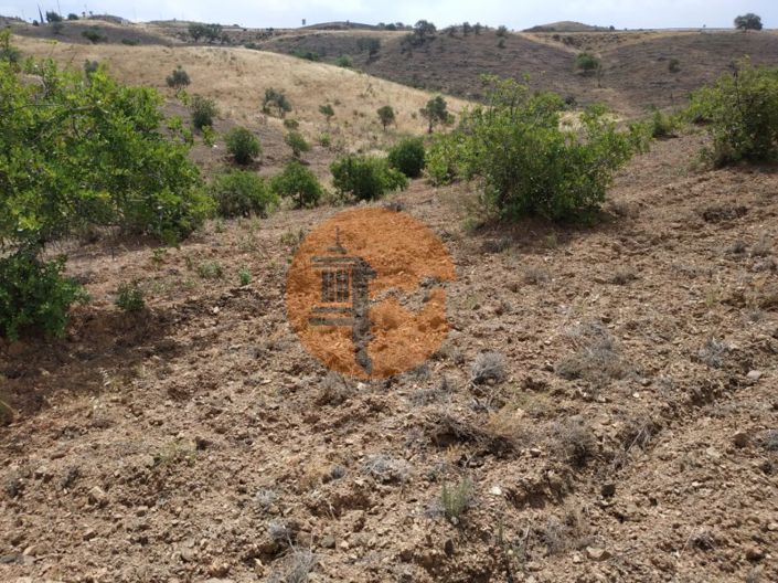 Image No.28-Terrain à vendre à Castro Marim